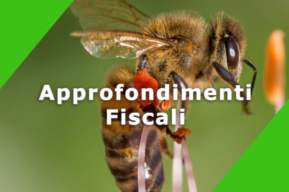 Approfondimenti-fiscali