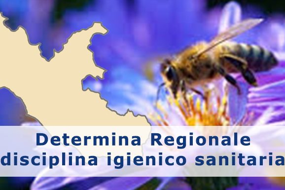 Determina-Regionale-disciplina-igienico-sanitaria-apistico