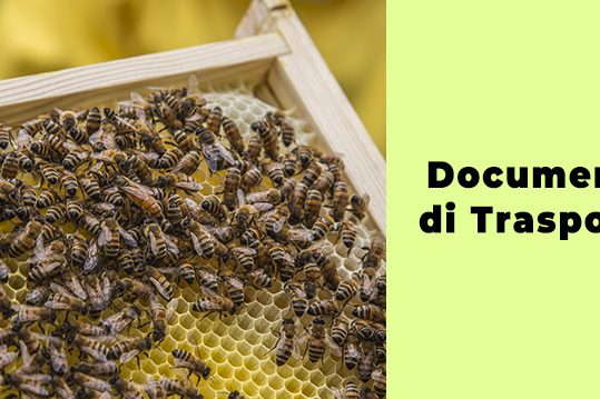 Documento-di-Trasporto