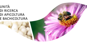 Etichettatura del Miele 2