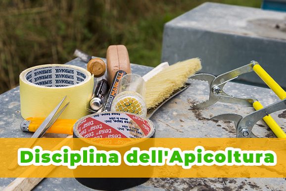 Linee-guida-per-la-disciplina-dellapicoltura