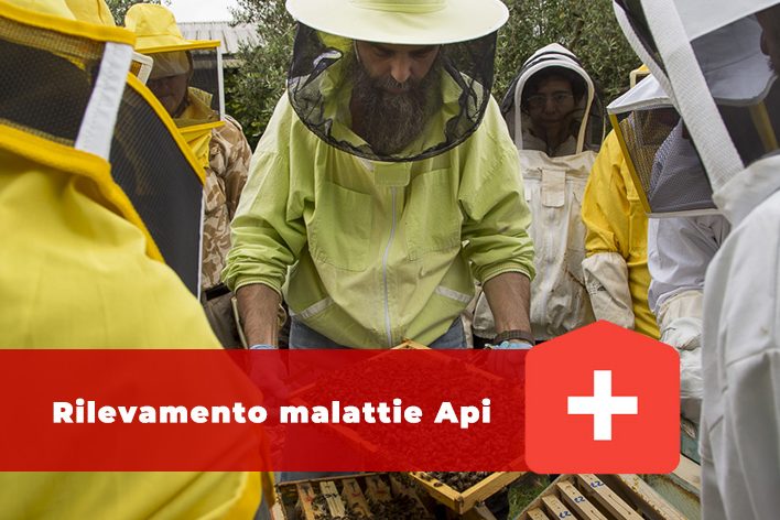 Rilevamento-malattie-Api-1
