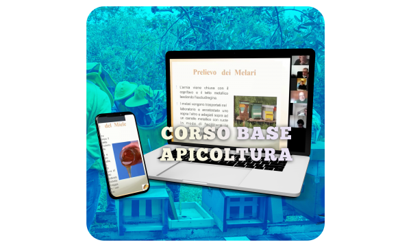 Corso Apicoltura pagamento acconto