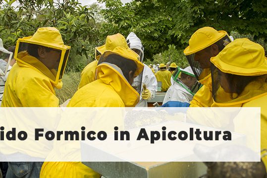 acido-formico-in-apicoltura