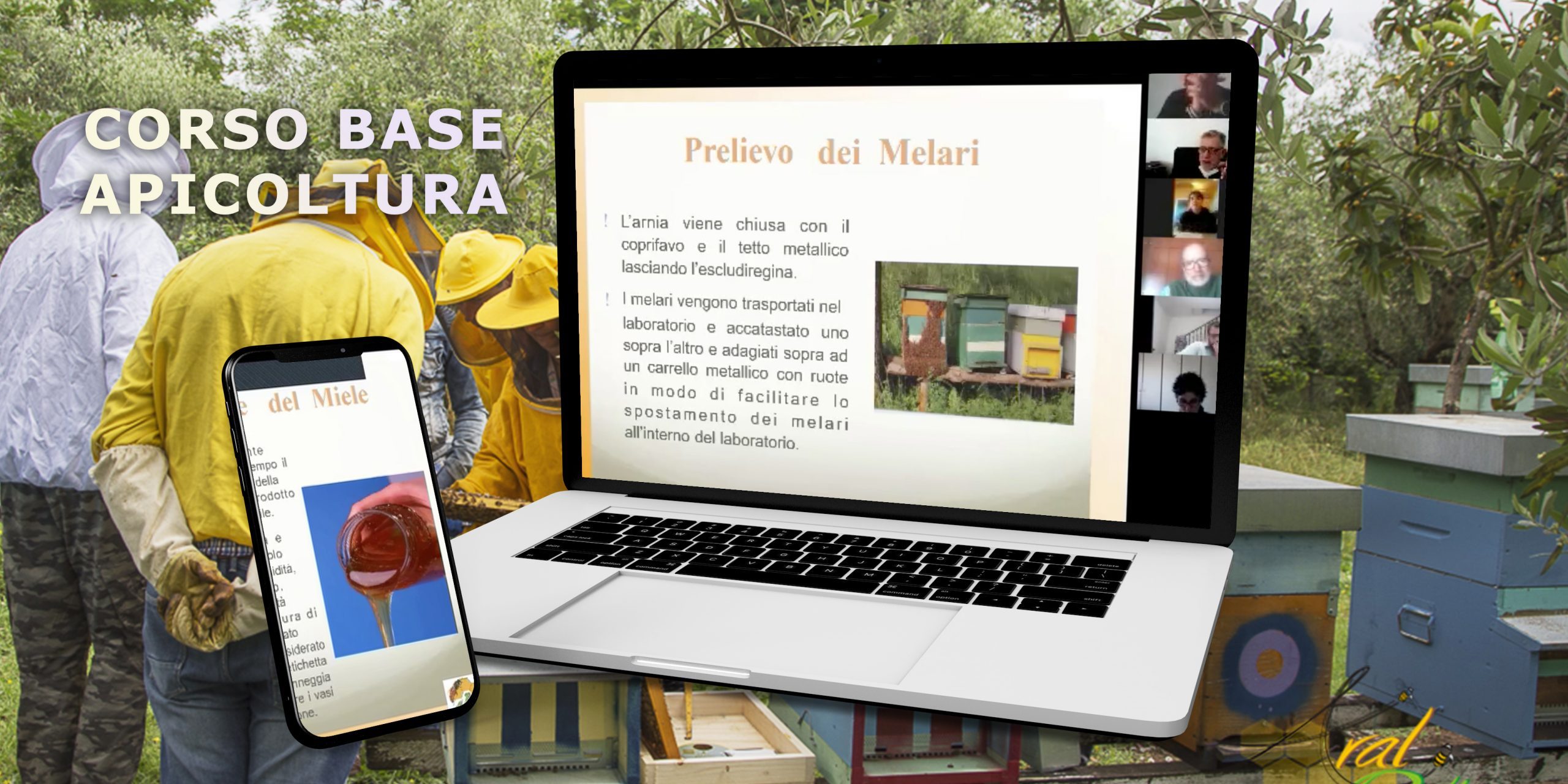 corso apicoltura