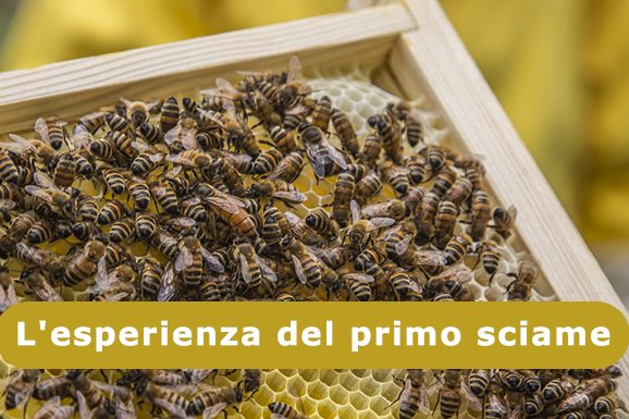 esperienza-primo-sciame