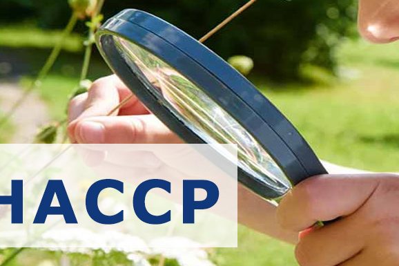 haccp-apicoltura