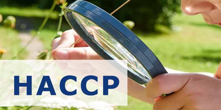 haccp-apicoltura