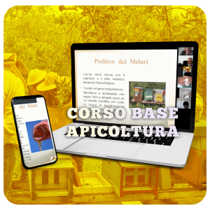 Corso Apicoltura pagamento soluzione unica