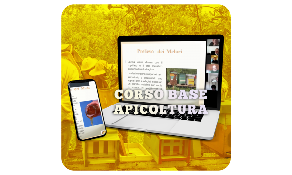 Corso Apicoltura pagamento soluzione unica