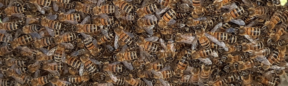 User banner image