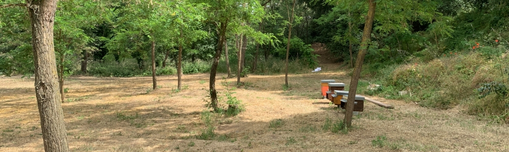 User banner image