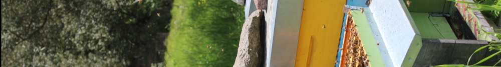User banner image