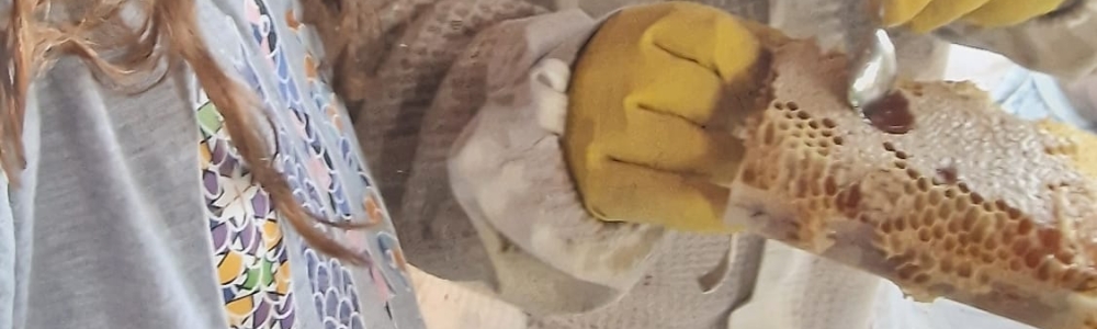 User banner image