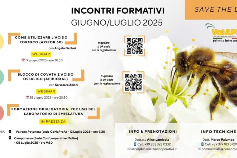 Volape (1)