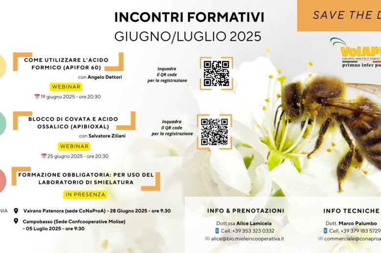 save-the-date-incontri-formativi-giugno-2025