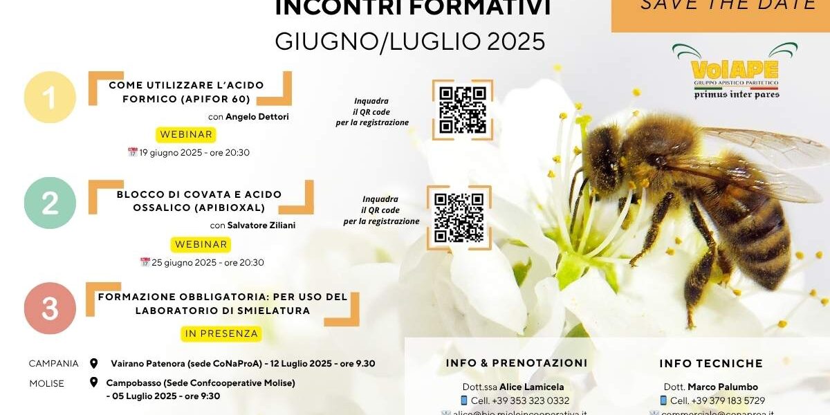 Volape (1)