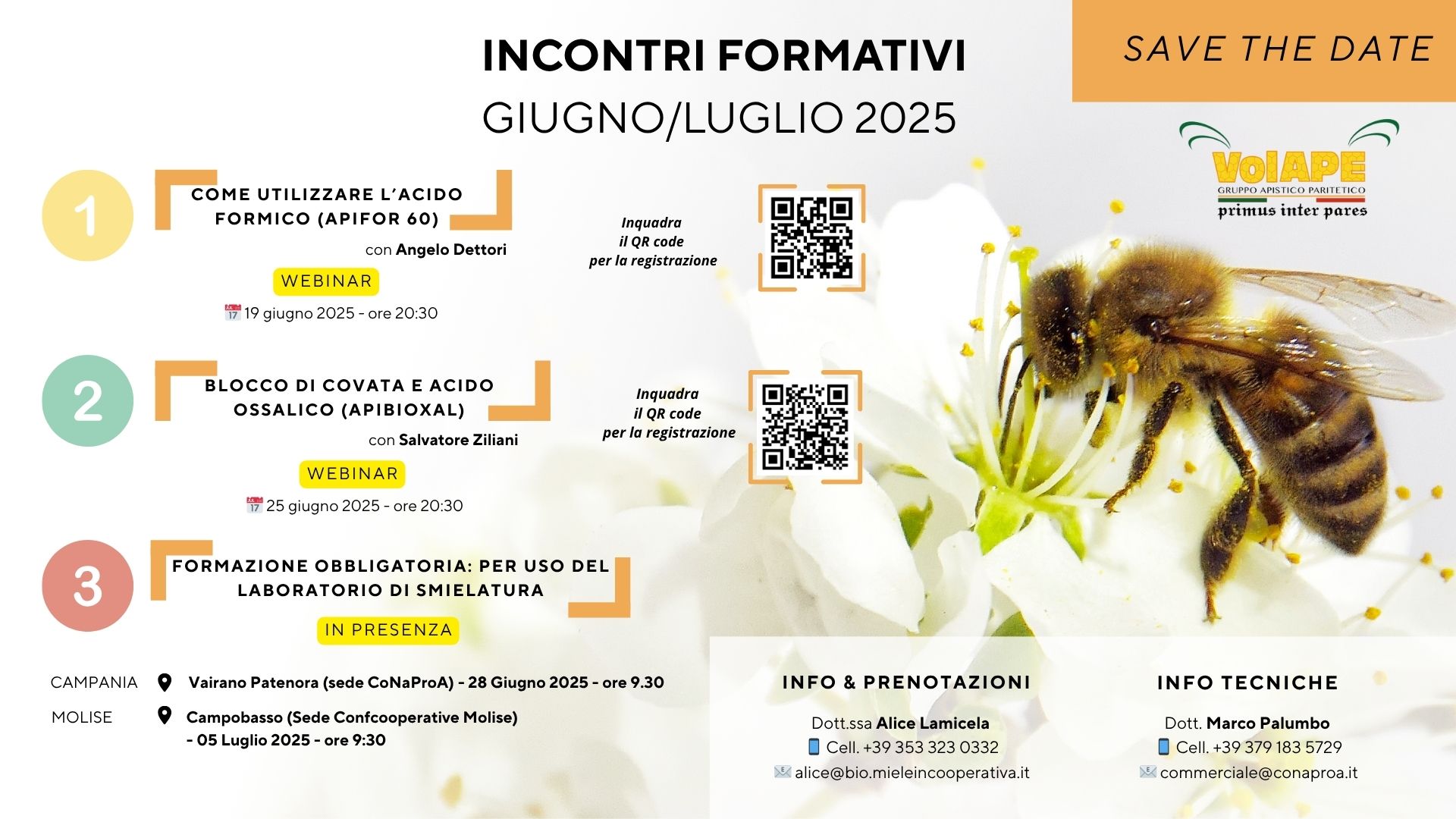 INCONTRI FORMATIVI GIUGNO/LUGLIO 2025 – VOLAPE